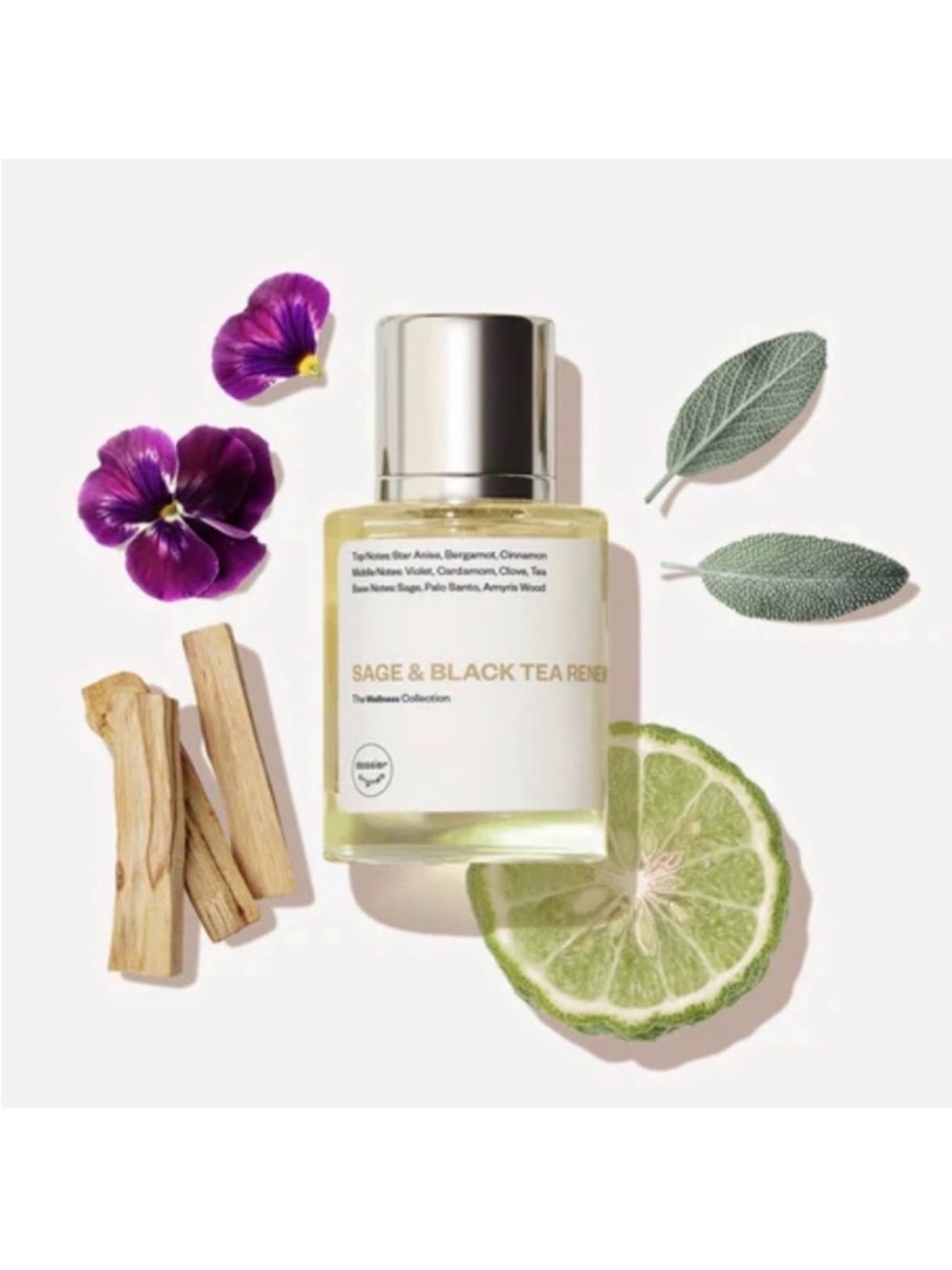 Dossier SAGE & BLACK TEA RENEW luxurious, relaxing, elevate your mind scent
